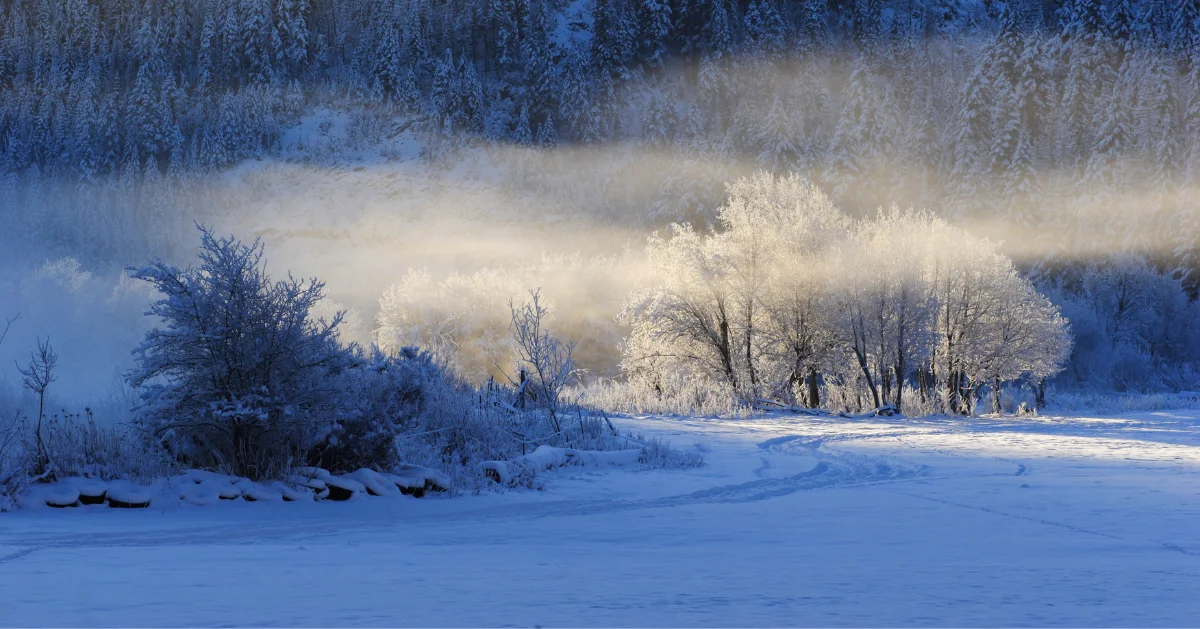 Snowy mountain views