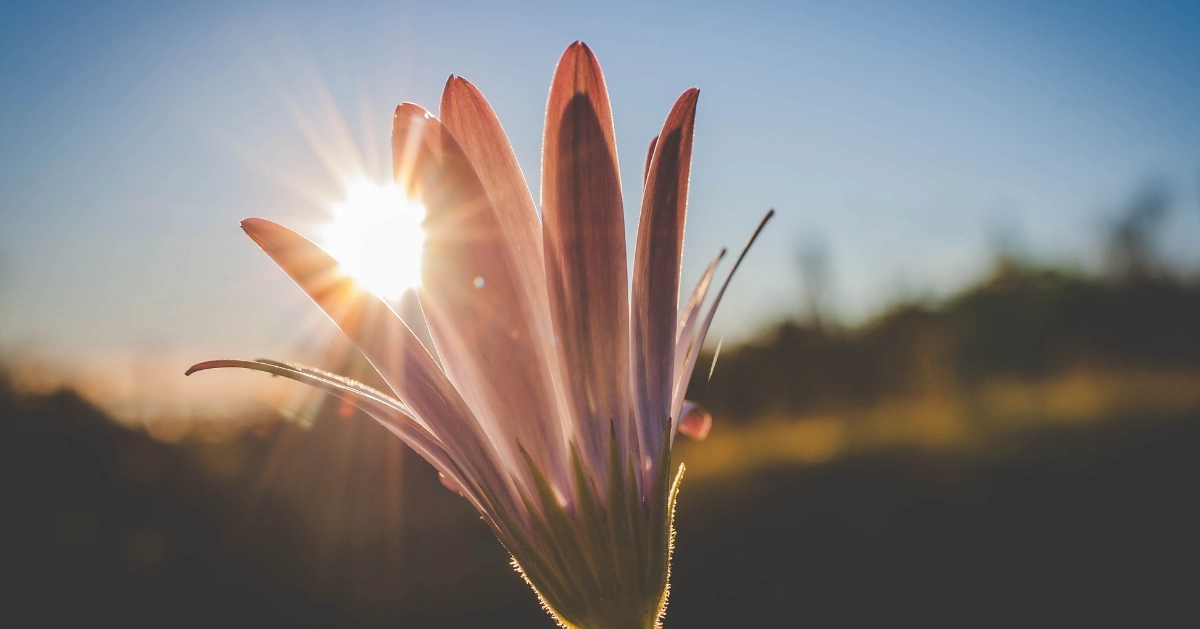 6 Steps to Change Your Life