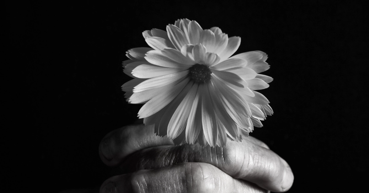 Someone holding a single flower