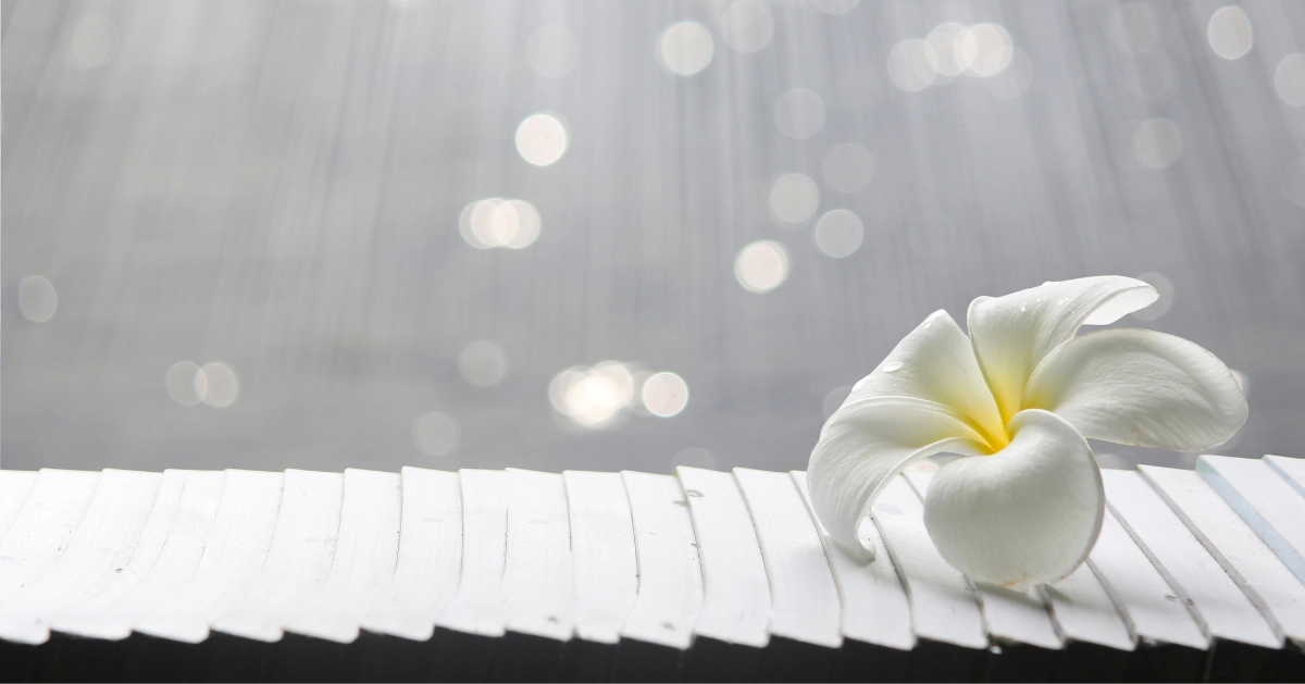 white flower