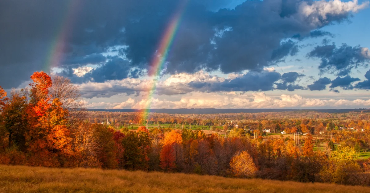 Rainbow