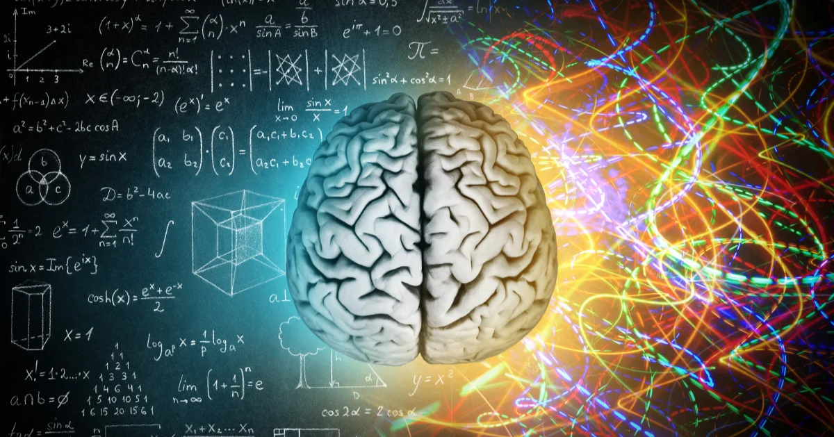 the brain