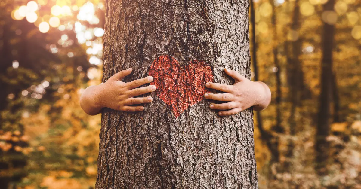 The Kindness Experiment