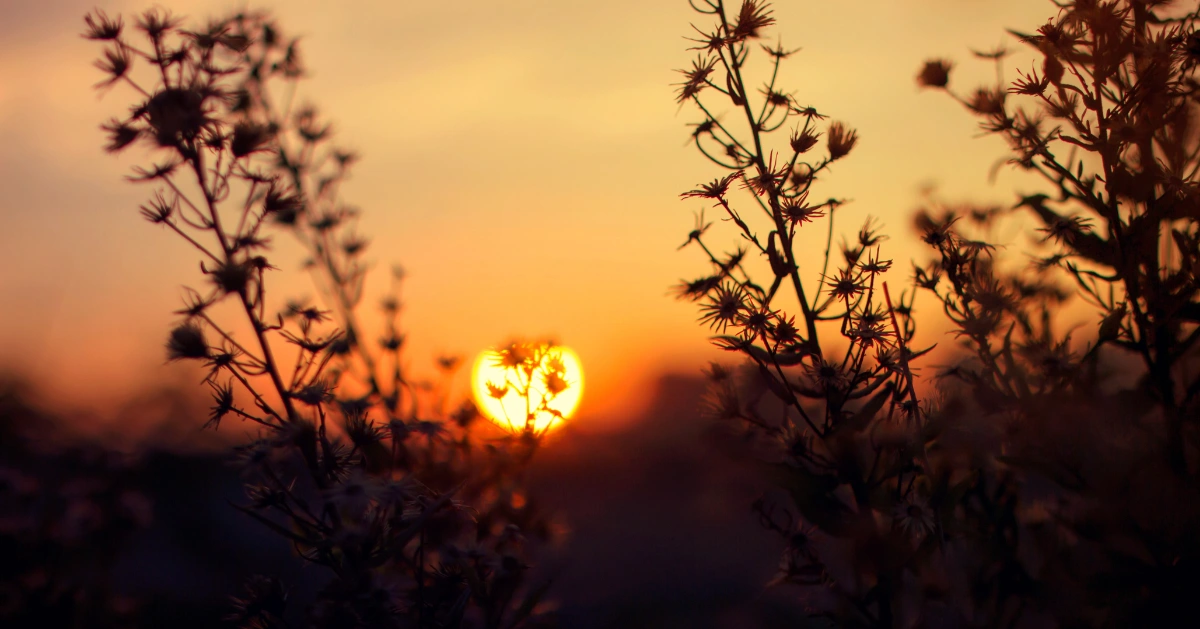 Inspiring Stories of Everyday Kindness