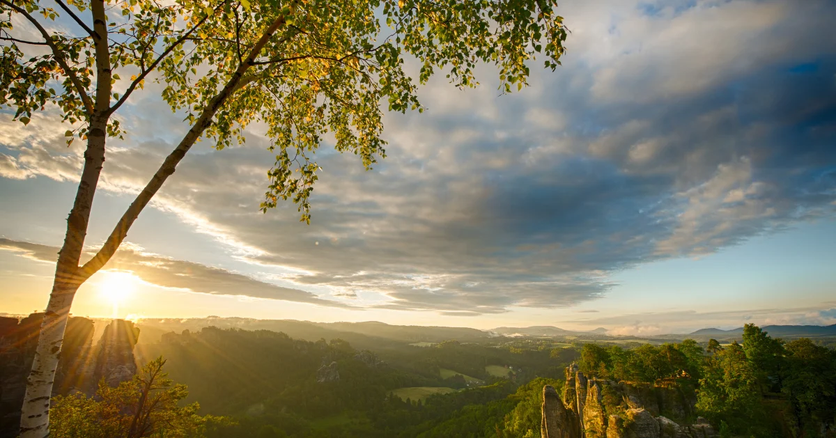 Skyline view on top of a mountain.