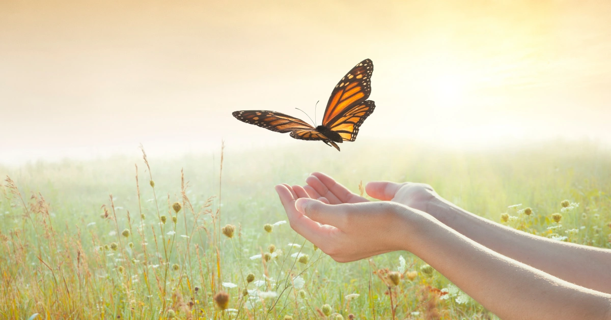 Hands open with a butterfly above the hands