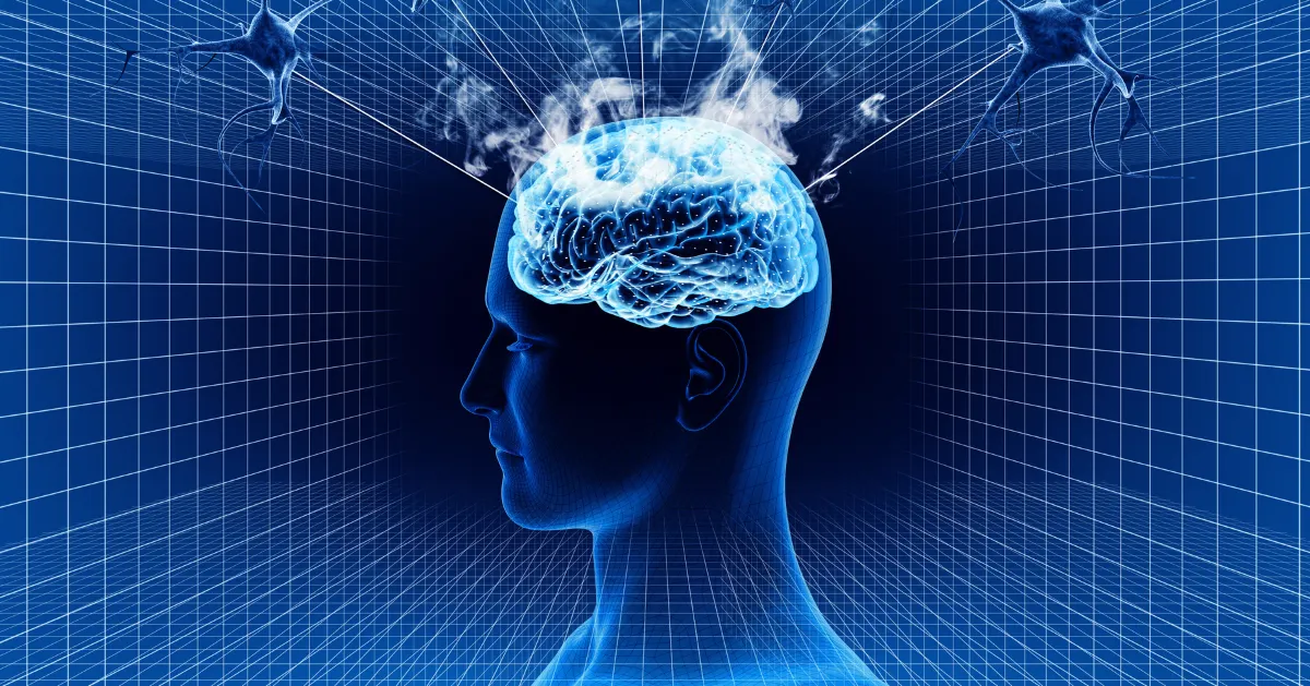 Computer diagram of a brain