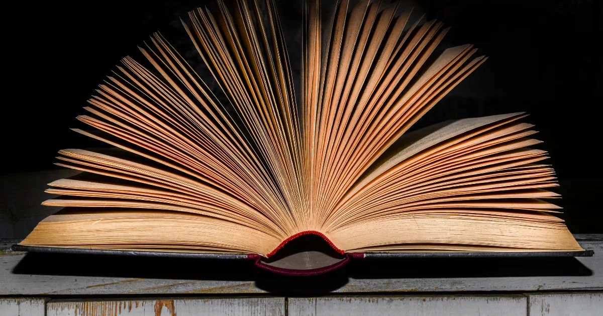 Book open and flipping pages.