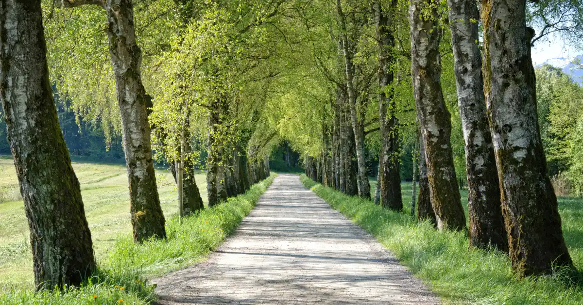 Addiction Recovery: Why Does Addiction Happen?