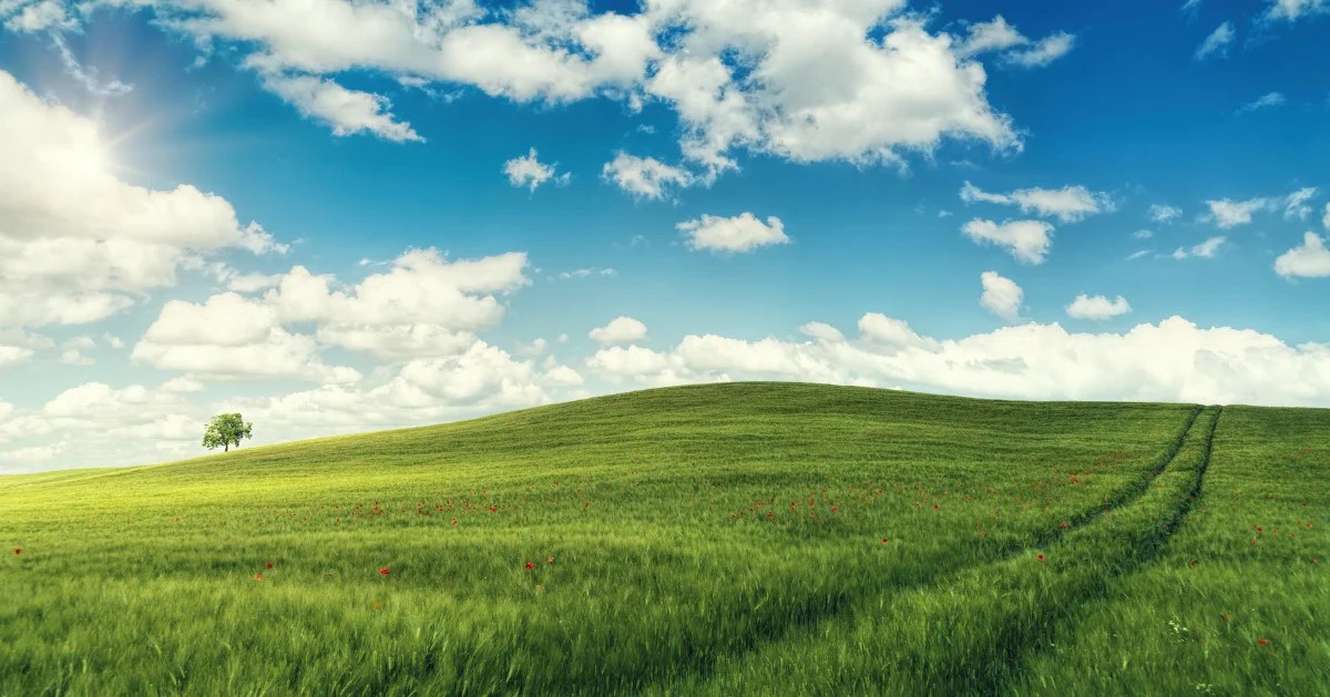 green field and blue skies