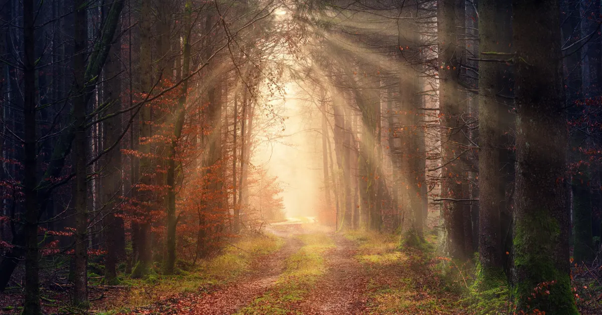 How to Soften Your Heart to God