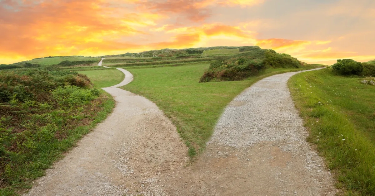 fork in the road