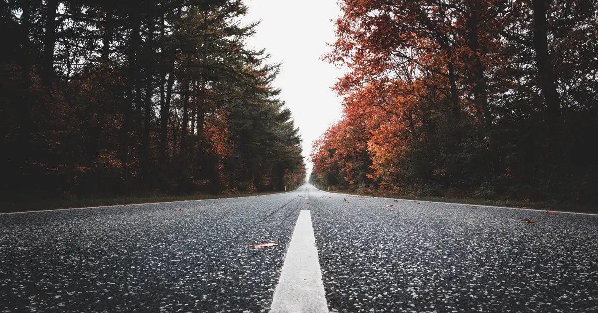 a long road with trees